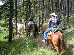Horseback Riding